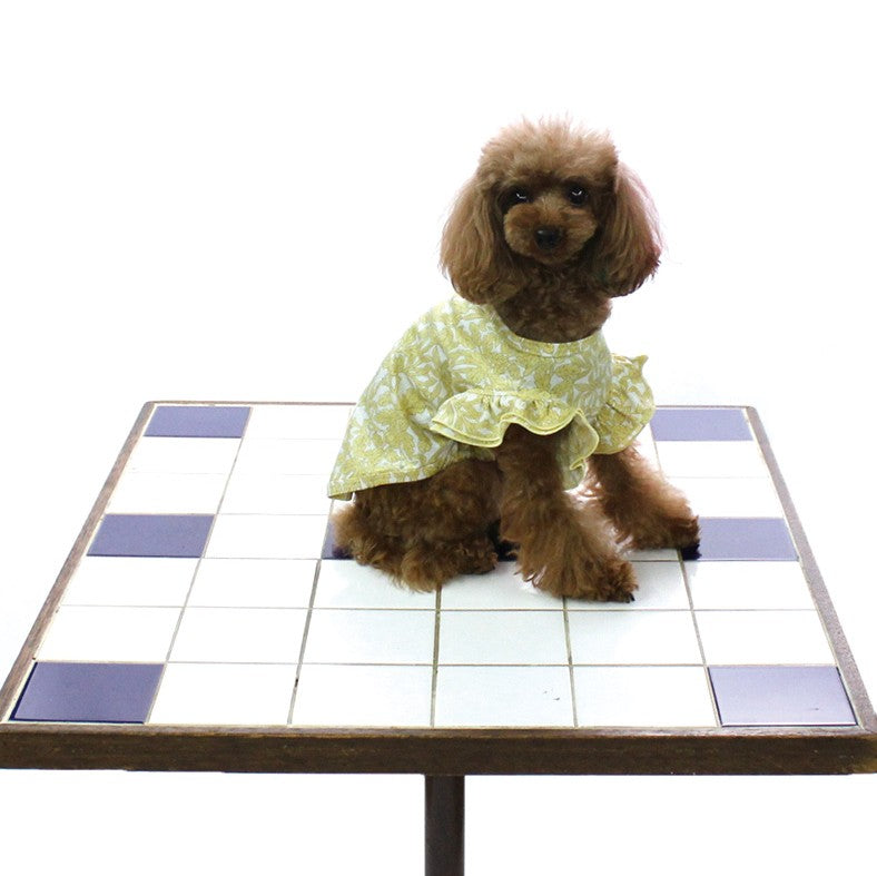 [SAD20390‐60]COOL 100/1スムース2段フリルTシャツ 20%off