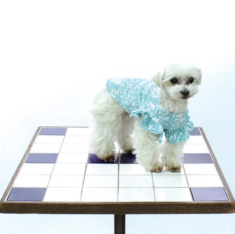 [SAD20390‐60]COOL 100/1スムース2段フリルTシャツ 20%off