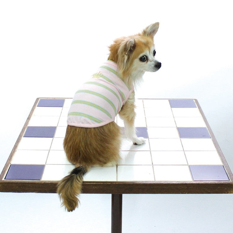 [SAD20340‐5]ストレッチボーダー王冠Tシャツ 20%off