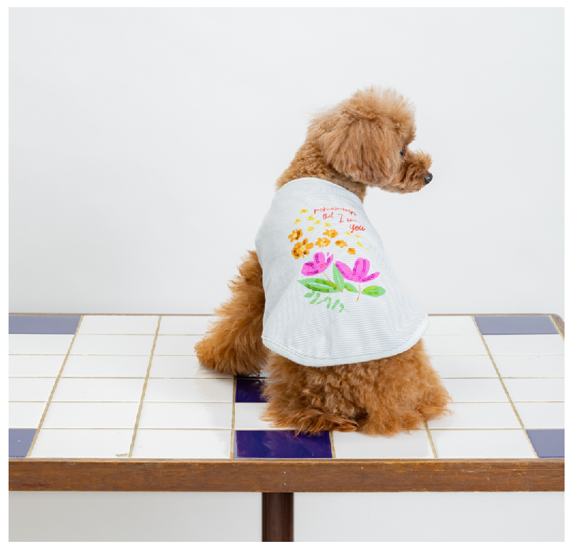 [SAD20390-87]メクラマジボーダー花柄PT&スパンコールTシャツ 20%off