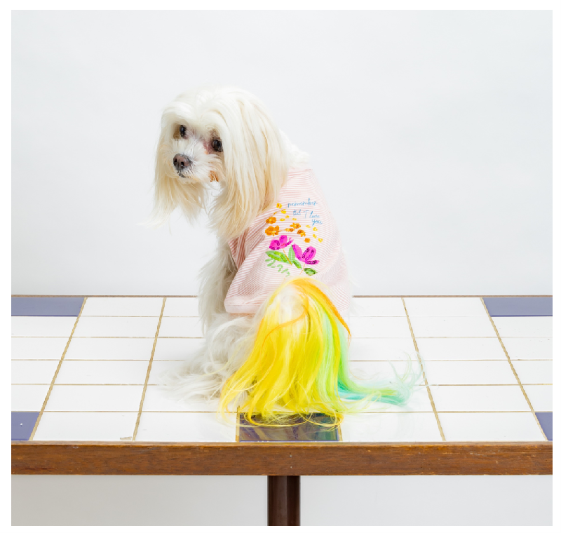 [SAD20390-87]メクラマジボーダー花柄PT&スパンコールTシャツ 20%off