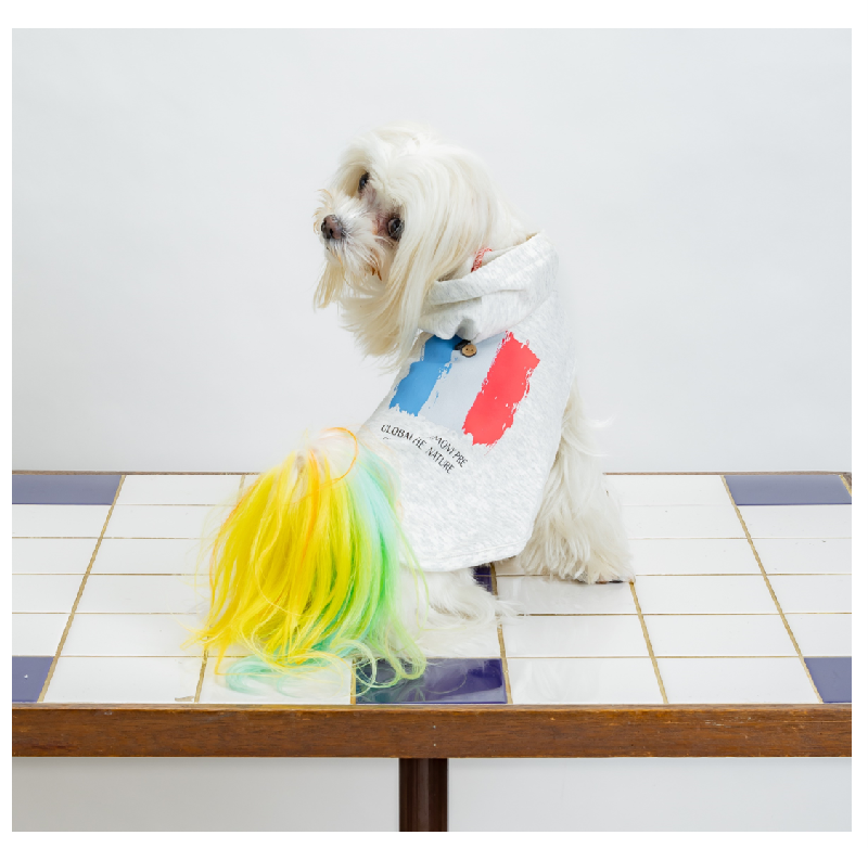 [SAD20390-90]ストレッチミニ裏毛プリントパーカー 20%off