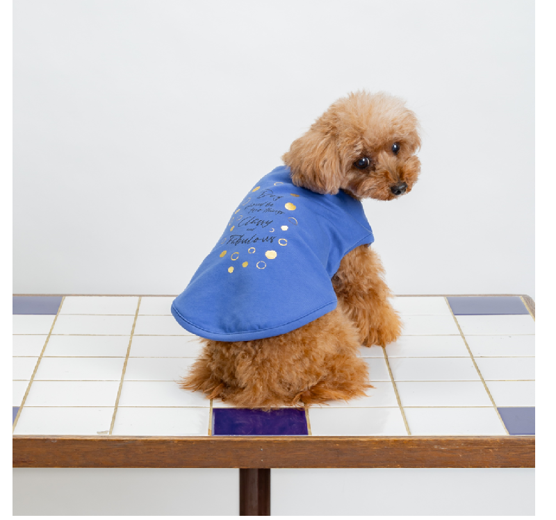 [SAD20390-88]ストレッチミニ裏毛箔プリントTシャツ 20%off