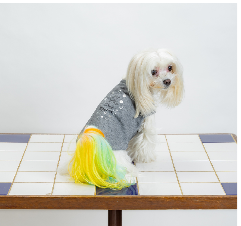 [SAD20390-88]ストレッチミニ裏毛箔プリントTシャツ 20%off