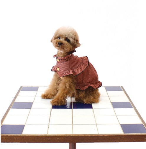 [SAD20430-73]COOLメクラジマボーダーフリルTシャツ 20%off