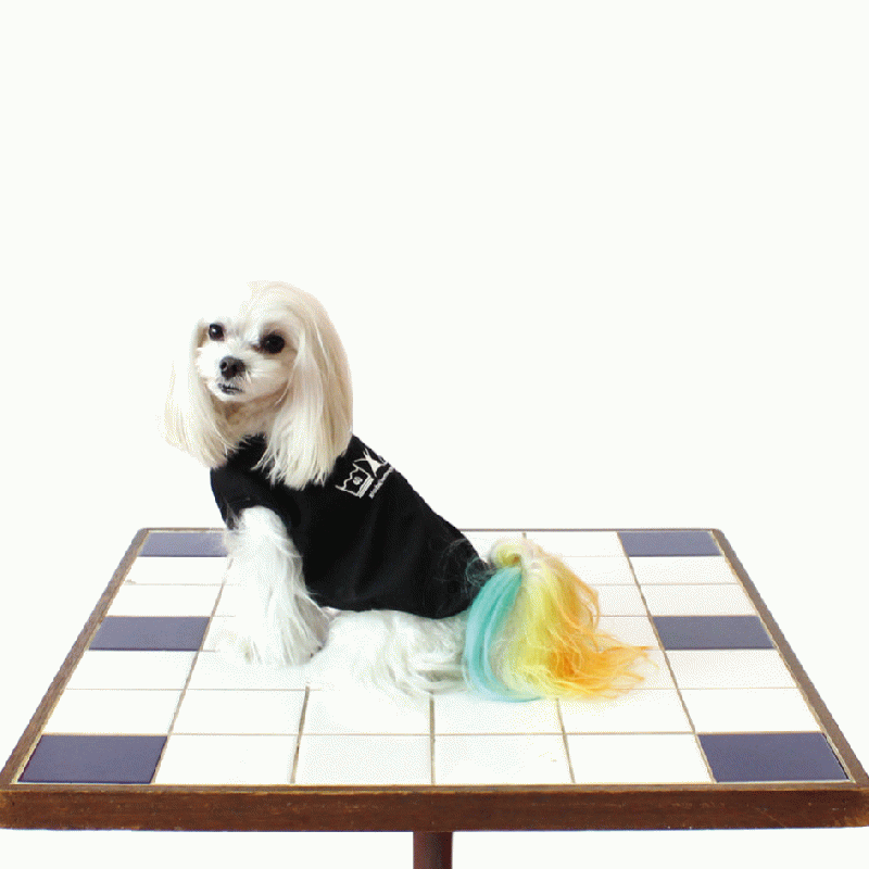 [SAD20430-84]COOL絵表示プリントTシャツ 20%off