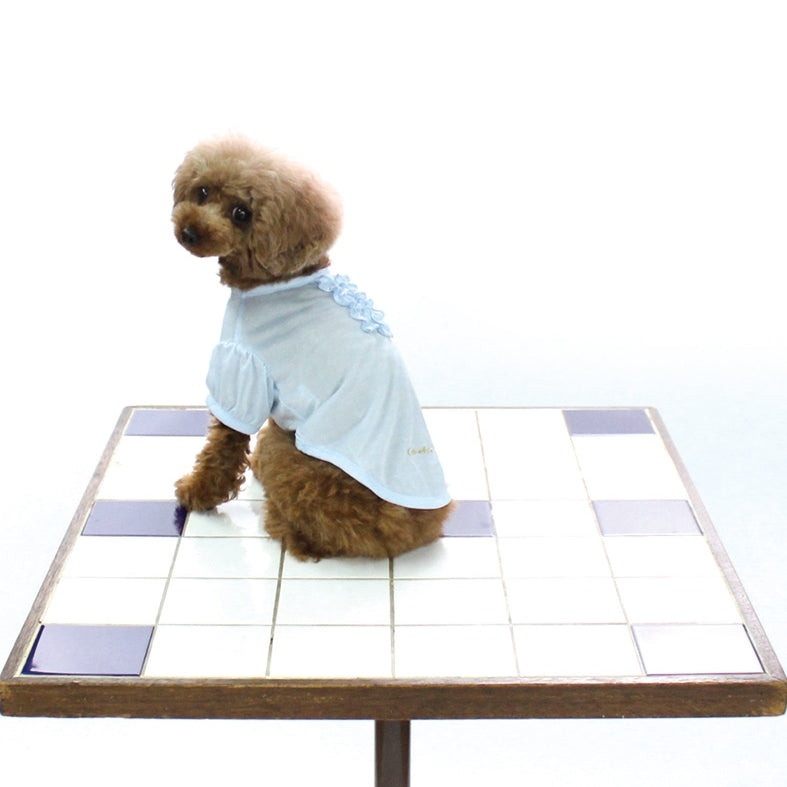 [SAD20390-66]COOL 3段フリルプリントTシャツ 20%off