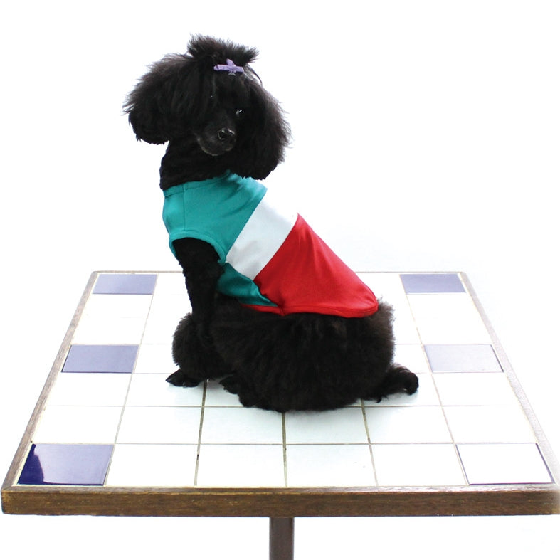 [SAD20350-5]COOL 国旗配色切り替えボーダーTシャツ 20%off