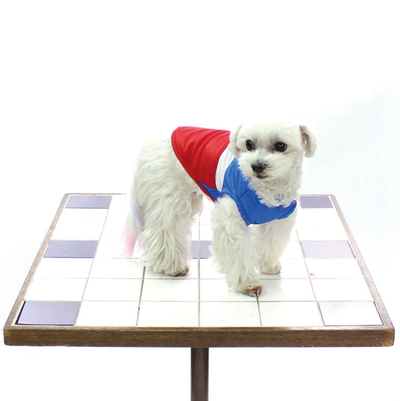 [SAD20350-5]COOL 国旗配色切り替えボーダーTシャツ 20%off