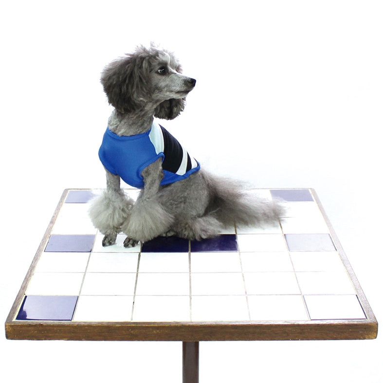 [SAD20390-69]COOLパネルボーダーTシャツ 20%off