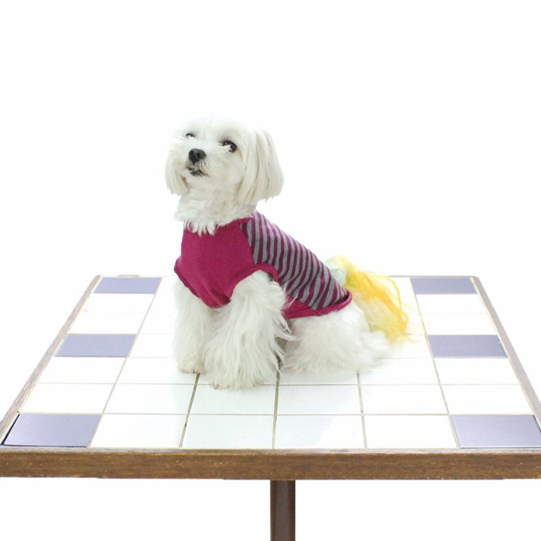 [SAD20390-77]ディアルウォームストレッチボーダー王冠Tシャツ 20%off