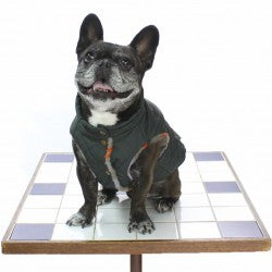 [SAD20490-55]撥水加工無地中綿キルトハイネック(フレンチブルドック) 20%off