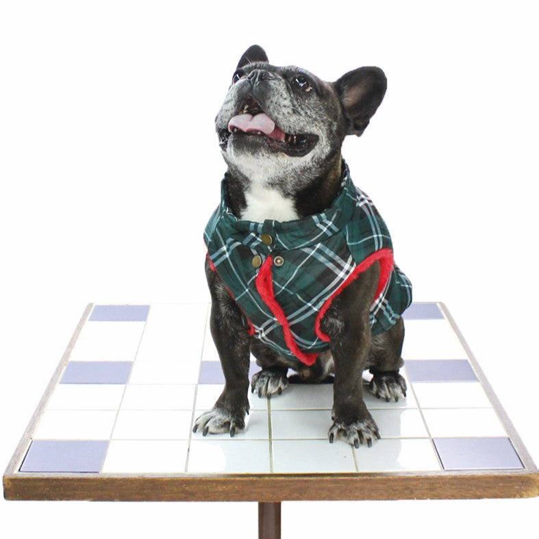 [SAD20490-56]チェック柄中綿キルトハイネック(フレンチブルドック) 20%off