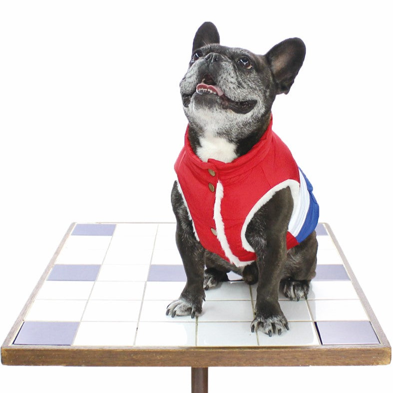 [SAD20490-54]トリコロール配色キルトハイネック(フレンチブルドック) 20%off