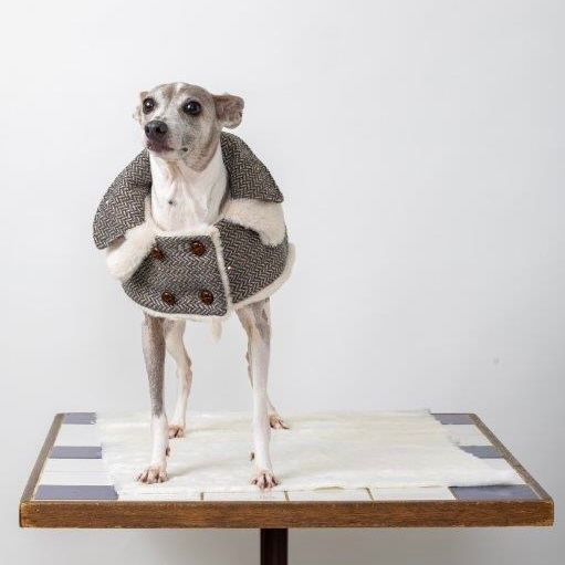 [SAD20660-19]ツイードイタグレマント 20%off