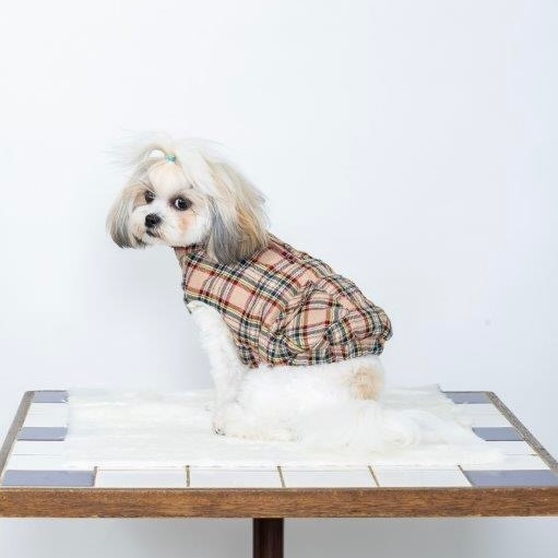 [SAD20540-4]チェック柄中綿キルトハイネック 20%off