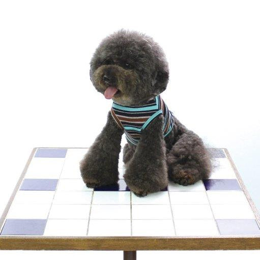 [SAD20340‐6]ミニ裏毛ストレッチボーダーTシャツ 20%off