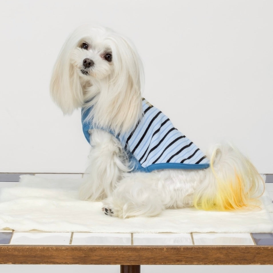 [SAD20390-98]あったかボーダー王冠刺繍Tシャツ 20%off