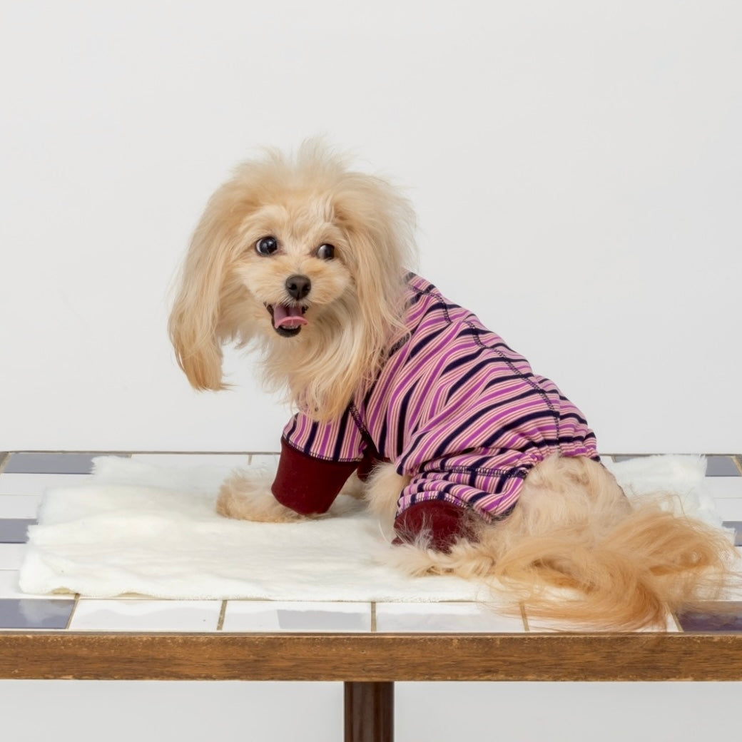 [SAD20390-97]あったかボーダーロンパース 20%off