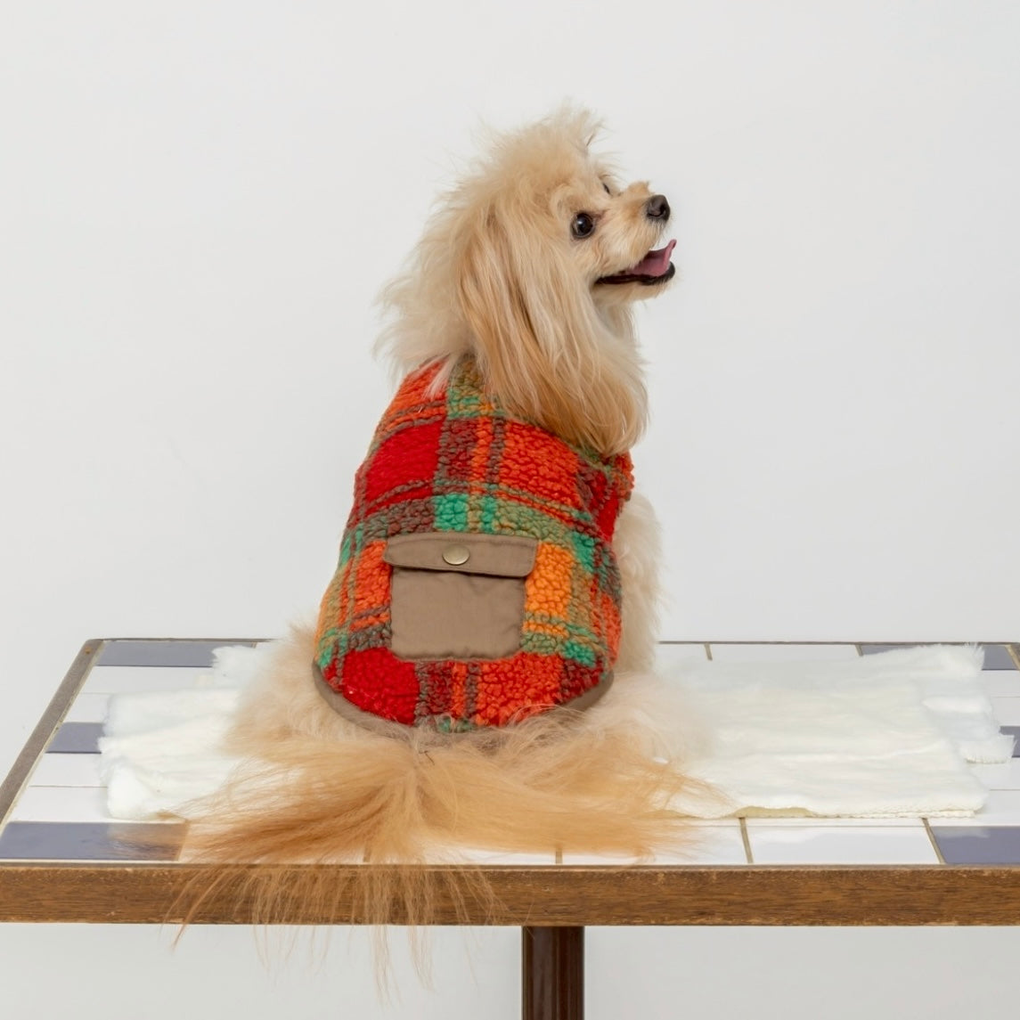 [SAD20390-99]チェックボアポケット付きTシャツ 20%off