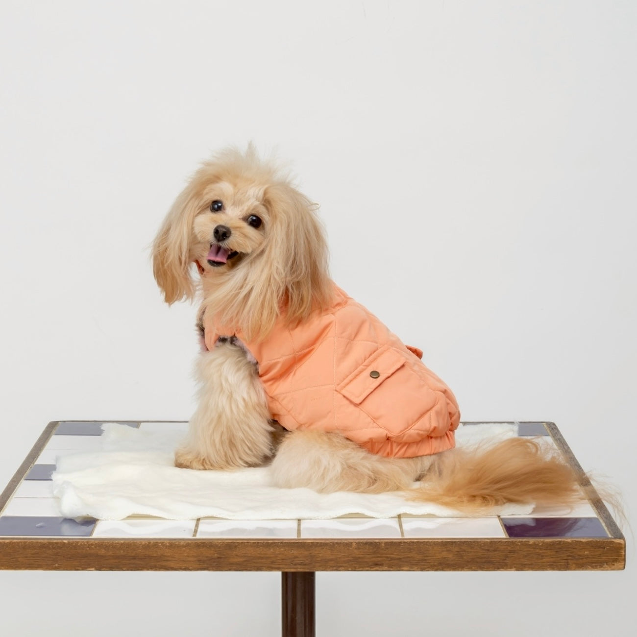 [SAD20580-1]撥水加工中綿キルトハイネック 20%off