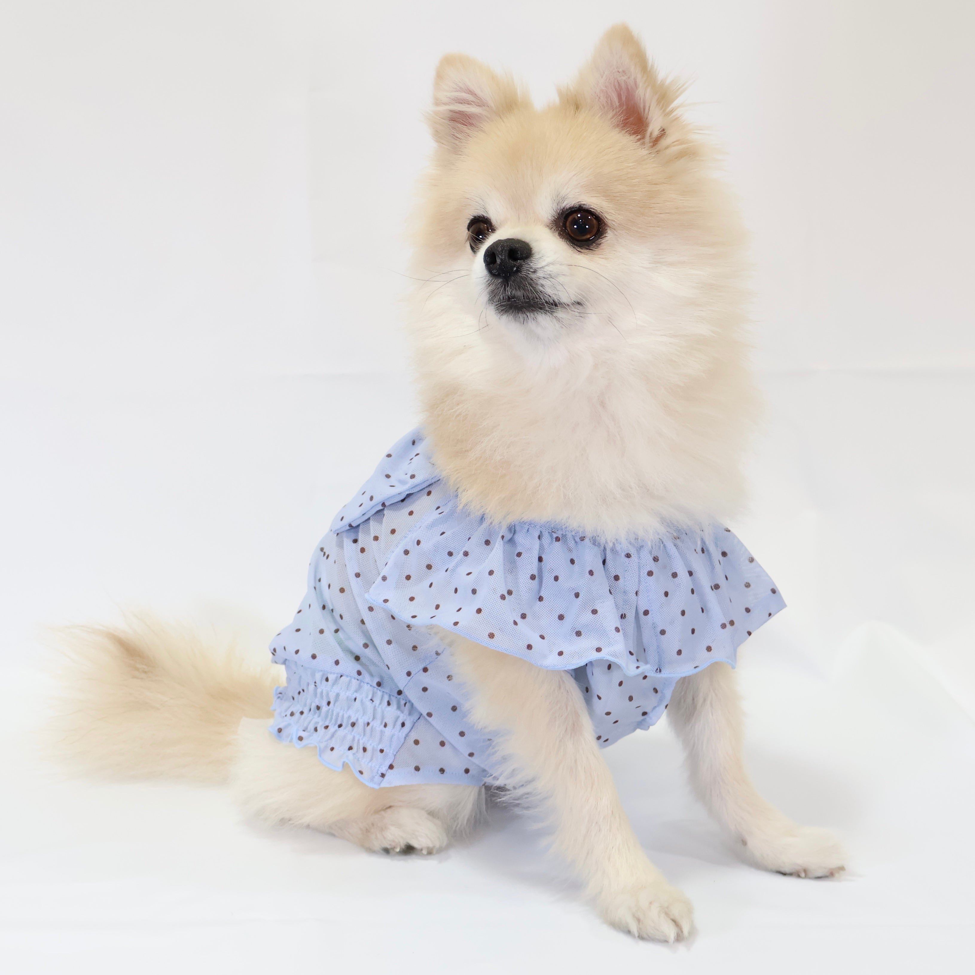 [SAD20390-2]メッシュ水玉プリントリボンTシャツ