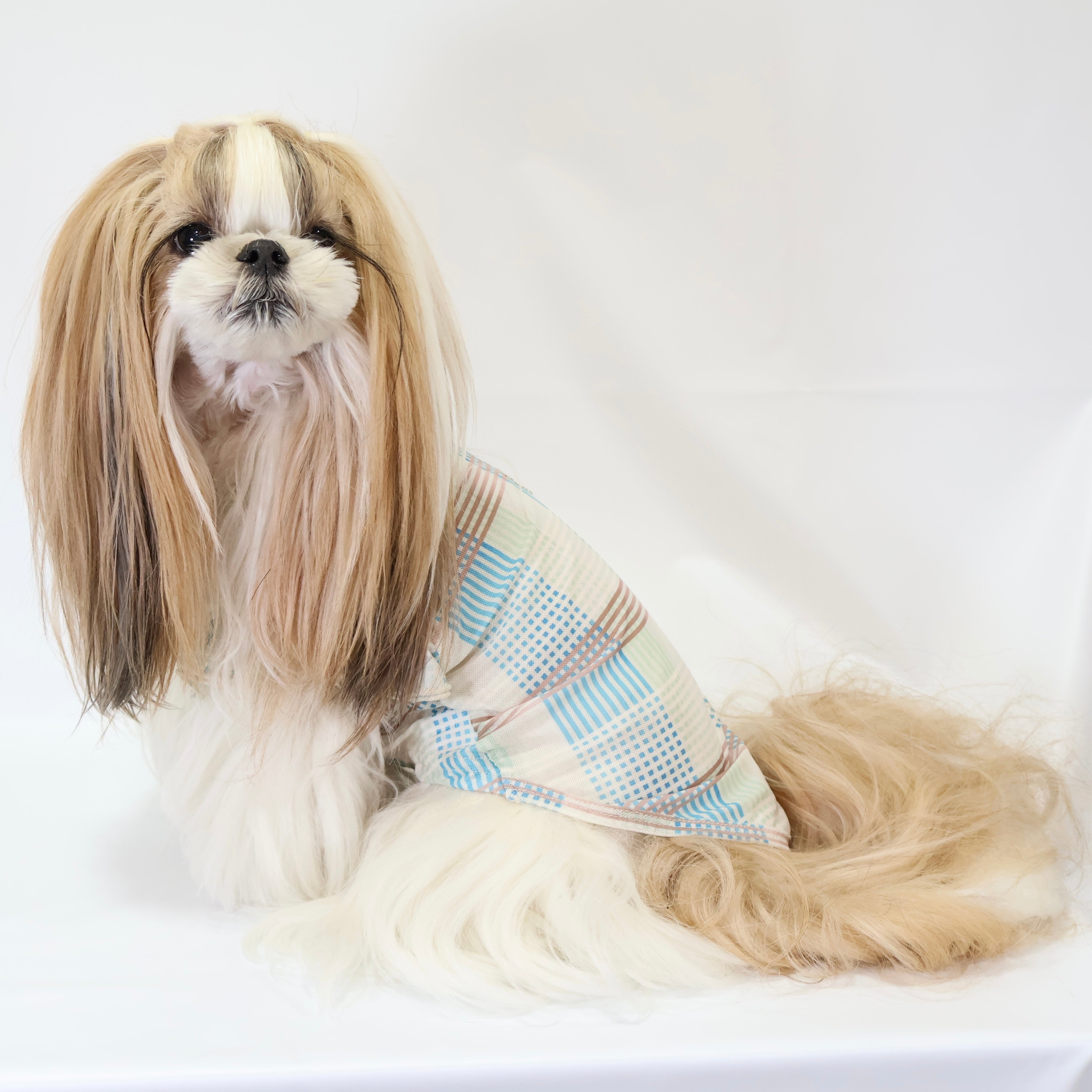 [SAD20390-3]メッシュチェックプリント刺繍Tシャツ