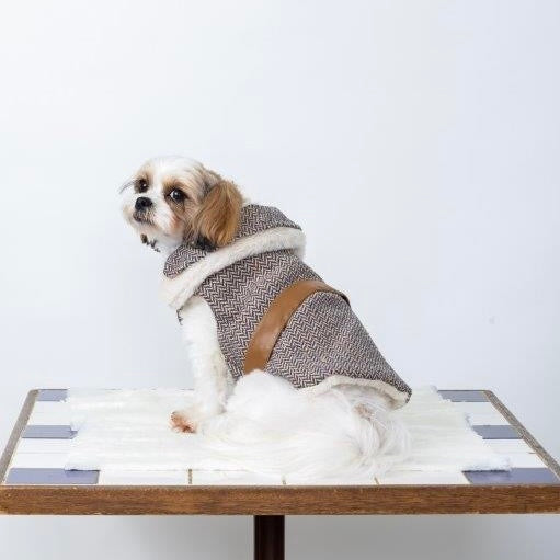 [SAD20540-5]ツイード普通犬種マント 20%off