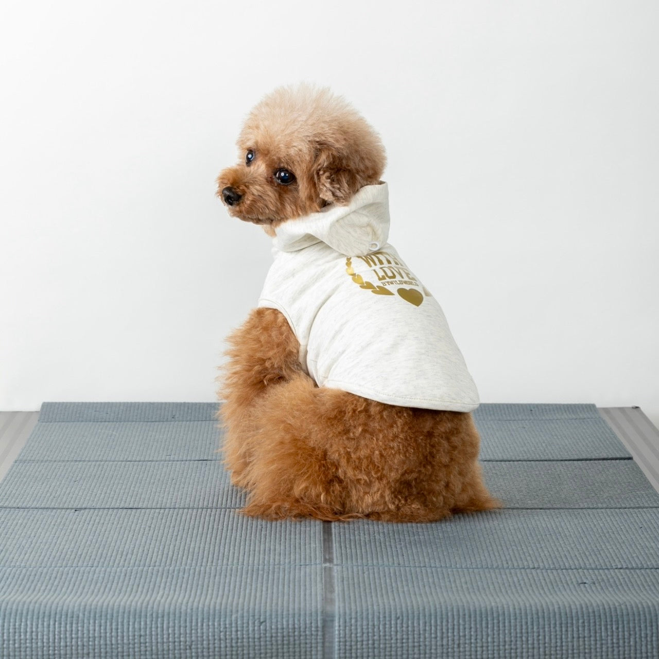 [SAD20390-94]ストレッチミニ裏毛LOVE箔プリントパーカー 20%off