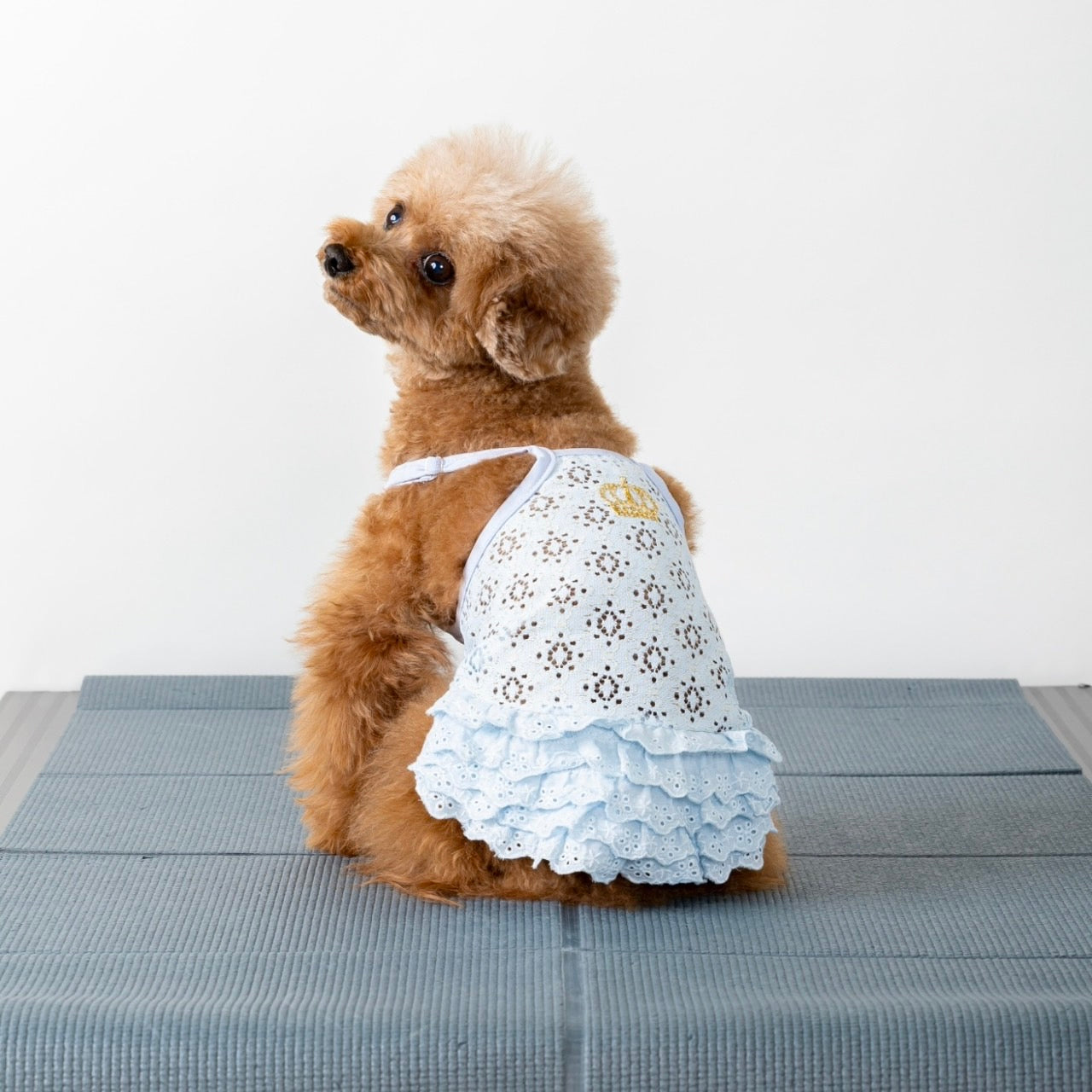 [SAD20390-93]ラメ混レース王冠刺繍キャミソー 20%off